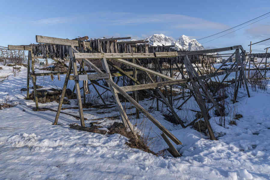 Noruega - islas Lofoten 074 - Henningsvaer - secadero de pescado.jpg
